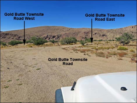 Gold Butte Townsite Road