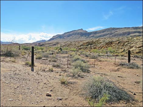 Gold Butte Wash Road