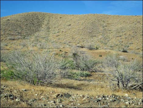 Garnet Valley Road