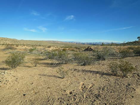 Greasewood Basin West Road