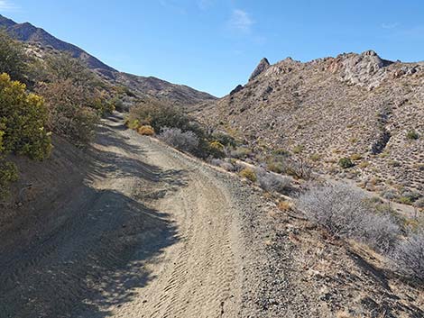 Hen Spring Canyon Road