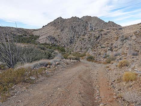 Hen Spring Canyon Road