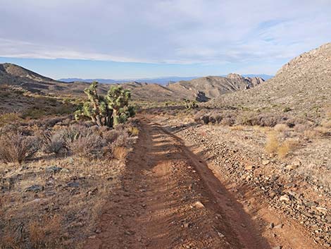 Hen Spring Canyon Road