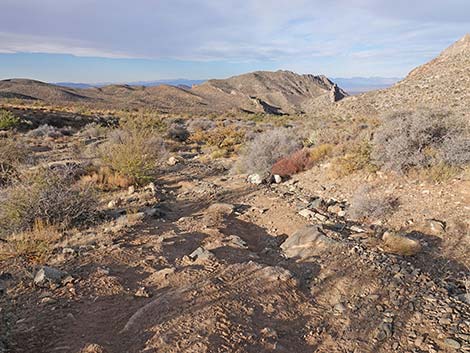 Hen Spring Canyon Road