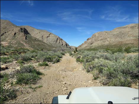 Lime Canyon Road