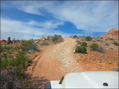 Mud Wash Dunes Road