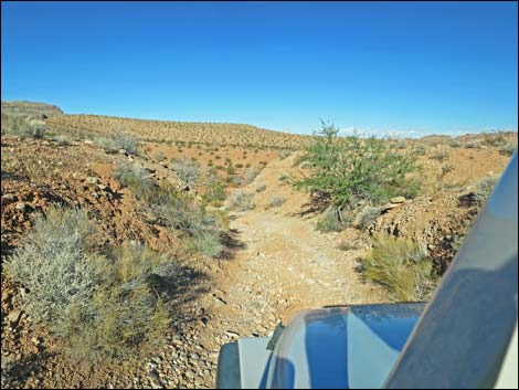 Mud Wash Shortcut Road