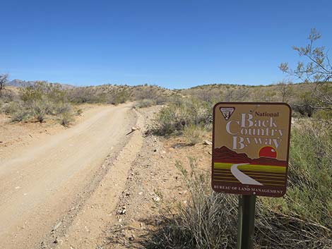 Mud Wash Road