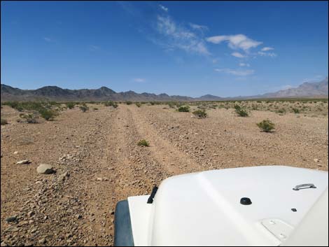 Narrows Road North