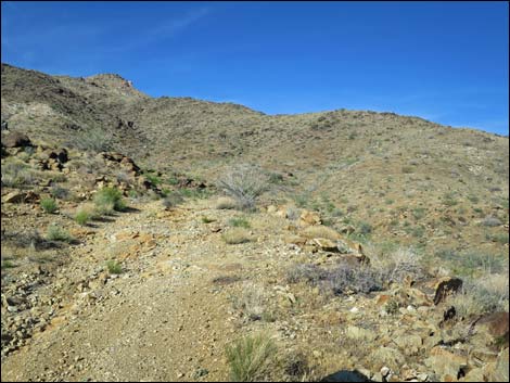 Nevada Mica Mine Road