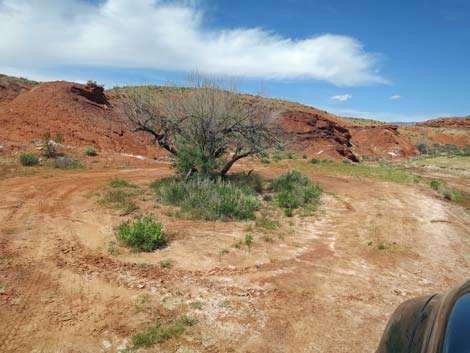 Red Rock Spring Road