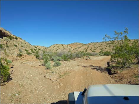 Red Bluff Spring Road