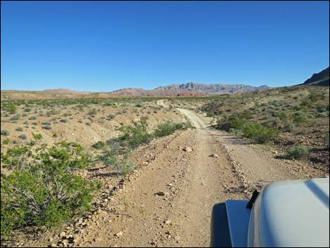 Red Bluff Spring Road