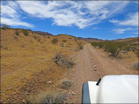 Red Bluff Spring Road