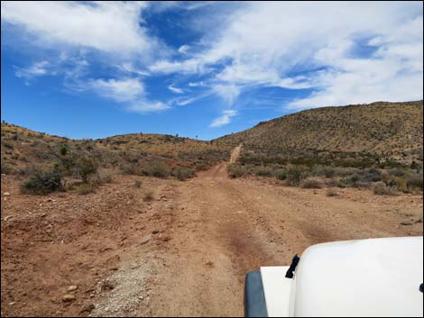 Red Bluff Spring Road