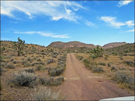 Red Bluff Spring Road