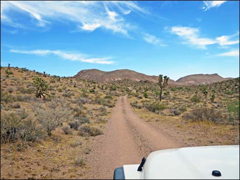 Red Bluff Spring Road