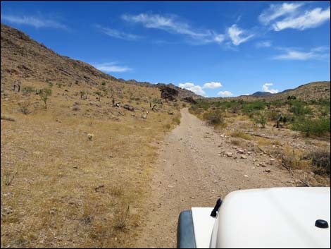 Red Bluff Spring Road