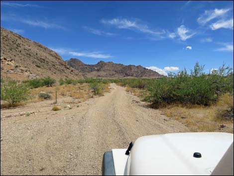 Red Bluff Spring Road