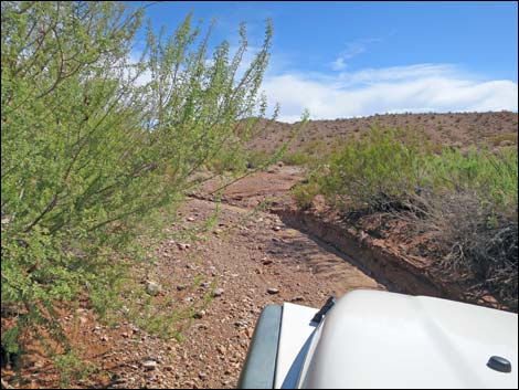 Red Bluff Spring Road