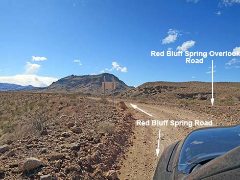 Red Bluff Spring Road