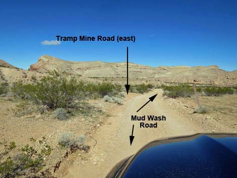 Tramp Mine Road