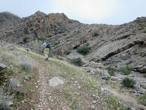 Tramp Mine Road