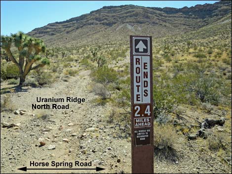 Uranium Ridge Road