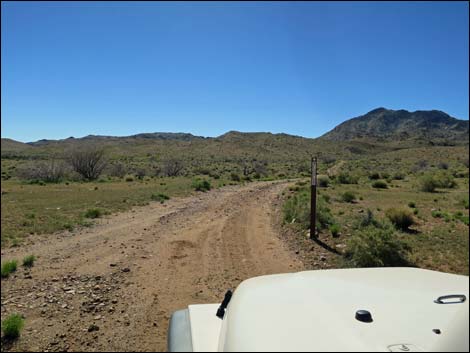 Vermiculite Mine Road