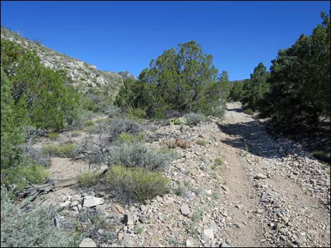 Virgin Peak Road