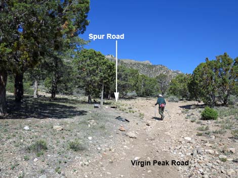 Virgin Peak Road