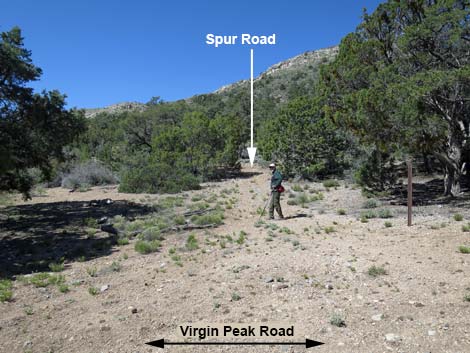 Virgin Peak Road