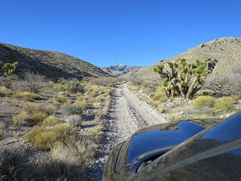 Virgin Peak Road