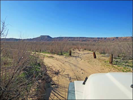 Virgin River Landing Road