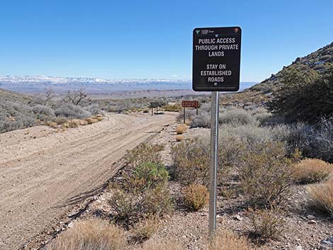 Whitney Pass Road