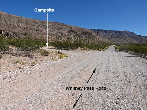 Whitney Pass Road Campsites