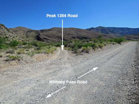 Whitney Wash Loop