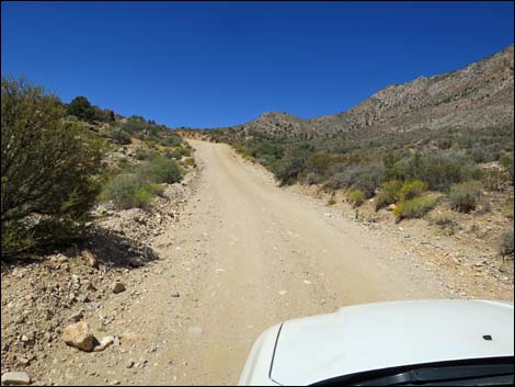 Whitney Pass Road