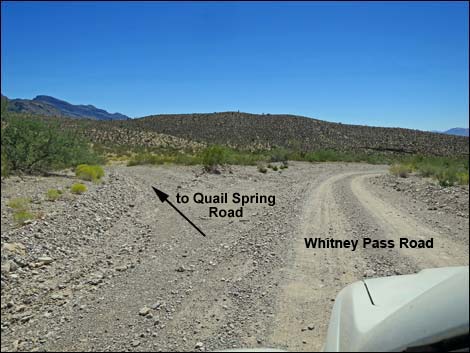 Whitney Pass Road