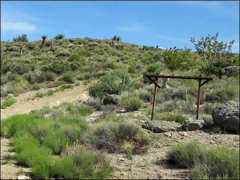 Windmill Mine Road