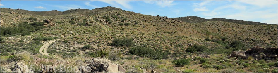 Windmill Mine Road