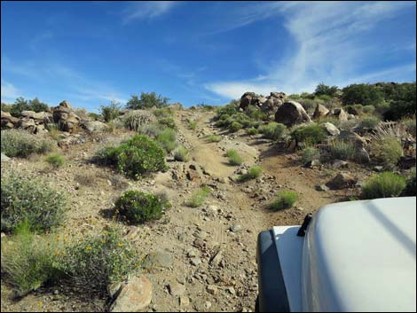 Windmill Mine Road