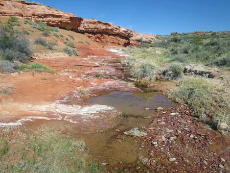 Red Rock Springs