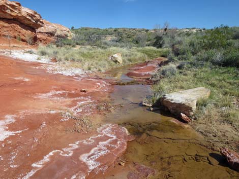 Red Rock Springs