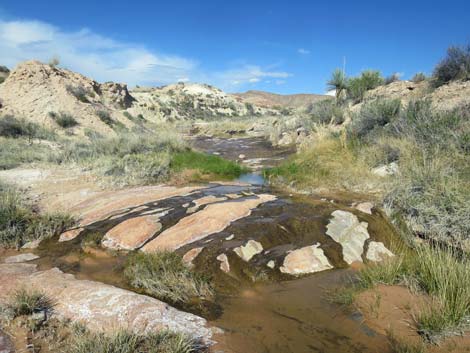 Red Rock Springs