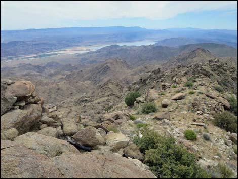 Shark Tooth Peak