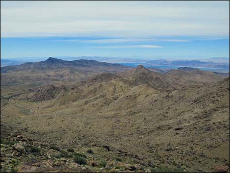 Shark Tooth Peak