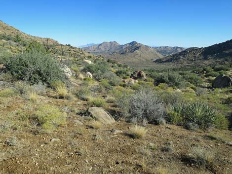 Shark Tooth Peak