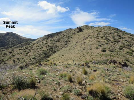 Summit Peak