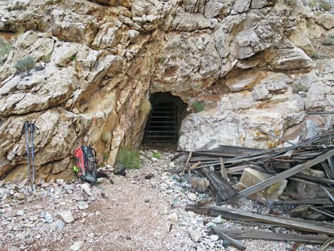 Tramp Mine